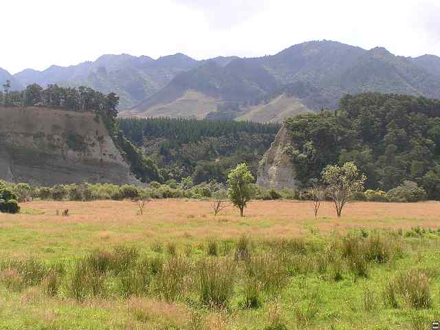 NZ leden-unor 2006 144.jpg